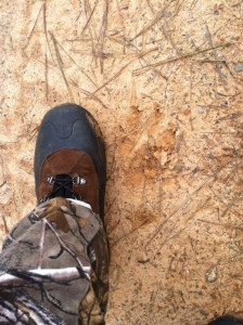 I wear a women's size 11 hiking boot. 